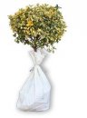 art.7392 {BIO}PACK MAX